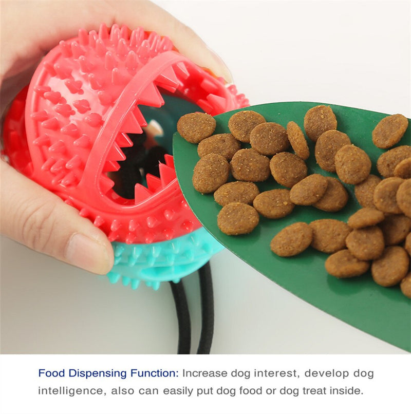 Dog Suction Cup Kong Chew Toy