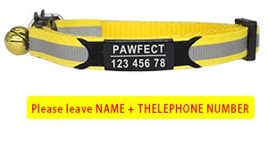Reflective Cat Safety Buckle Collar