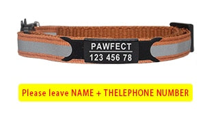 Reflective Cat Safety Buckle Collar