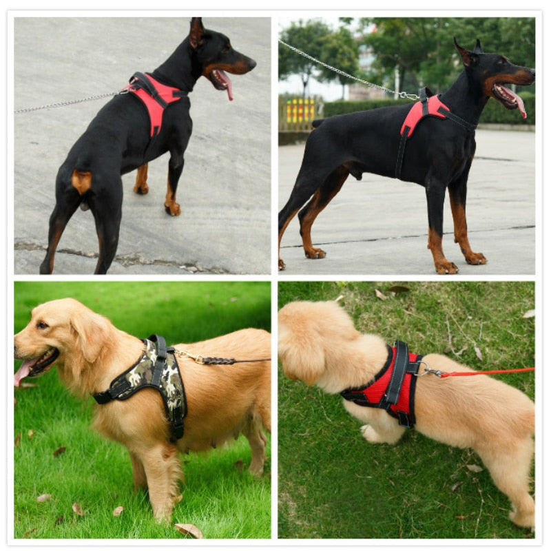 Nylon Heavy Duty Dog Harness Collar