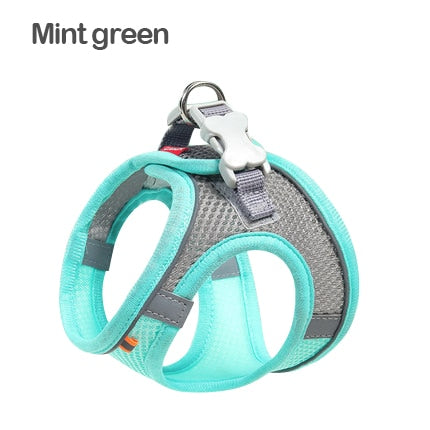 Dog Harness Chest Rope Set
