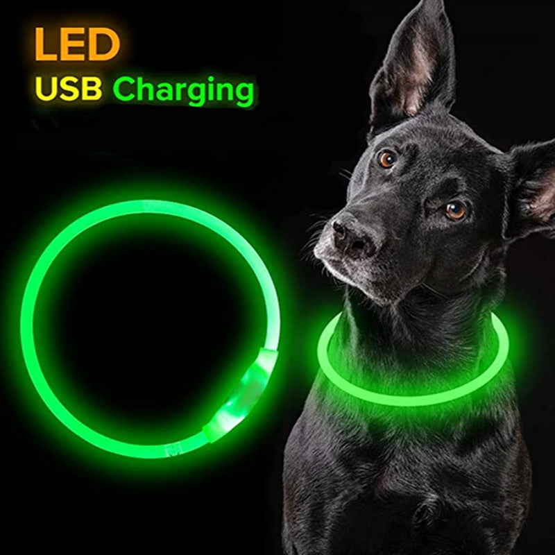 Led Light Dog Glowing Collar