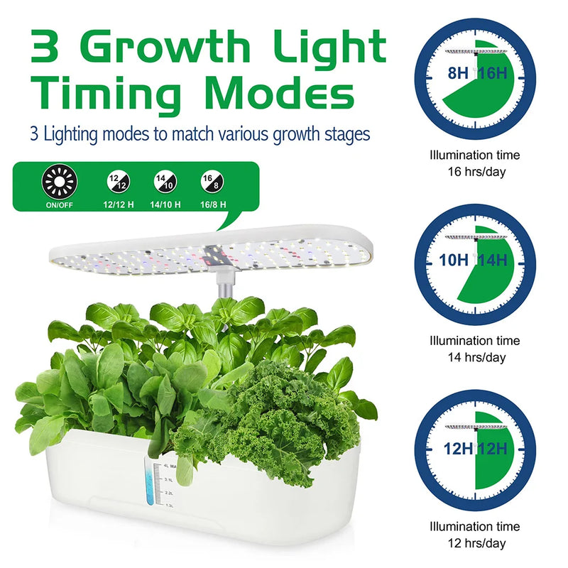 This image captures a hydroponic kit setup featuring vibrant green leafy plants illuminated by three distinct growth light timer modes. The hydroponic system is designed to cater to individuals with visual impairments, ensuring an inclusive gardening experience. In the foreground, a variety of luscious green plants thrive in the hydroponic environment, their leaves reflecting the health and vitality of the system.