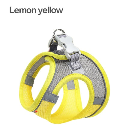 Dog Harness Chest Rope Set