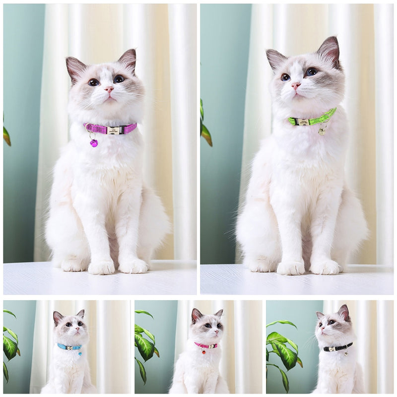 Engraved Custom Cat Collar
