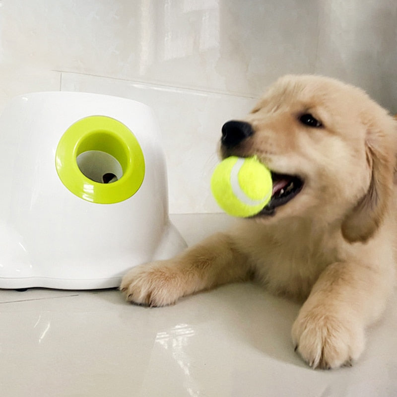 Dogs Tennis Ball Launcher
