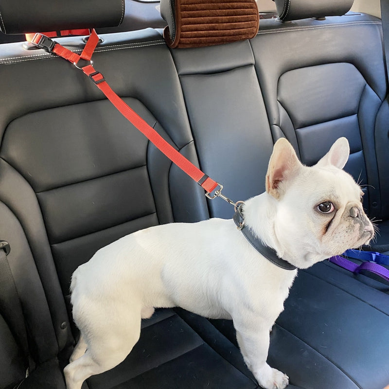 Dogs Car Seat Belt