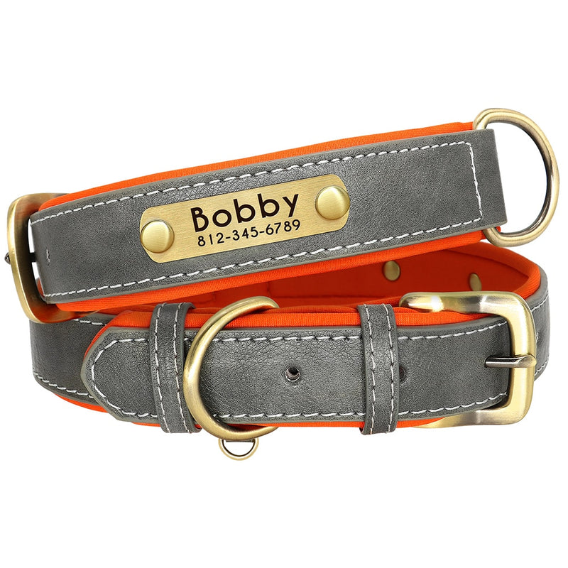 Personalized Leather Padded Dog Collar
