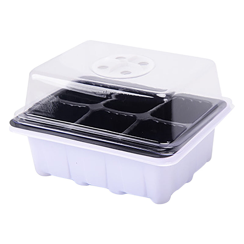 Plant Seed Grows Box