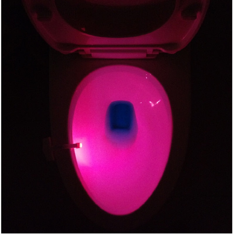Toilet Bowl Night Lights
