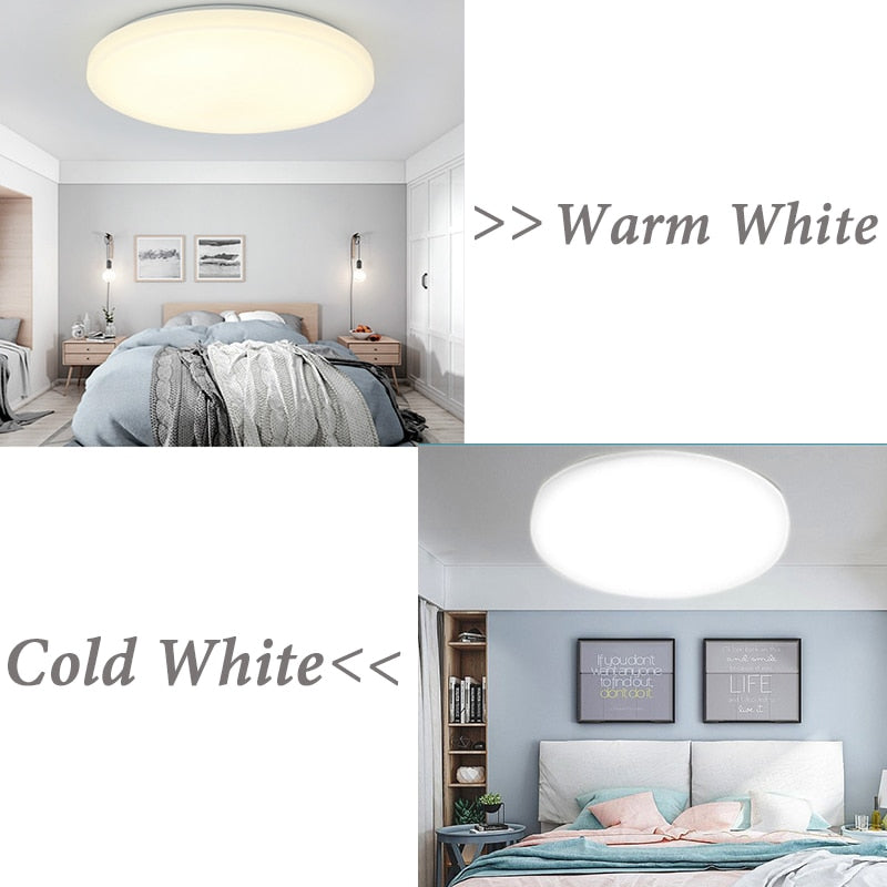 Horticu-Home-Leds™ Ceiling Lights