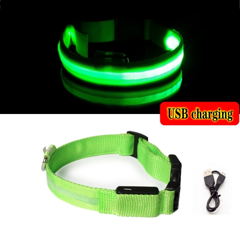 Led Dog Collar Light Anti-lost Collar For Dogs Puppies