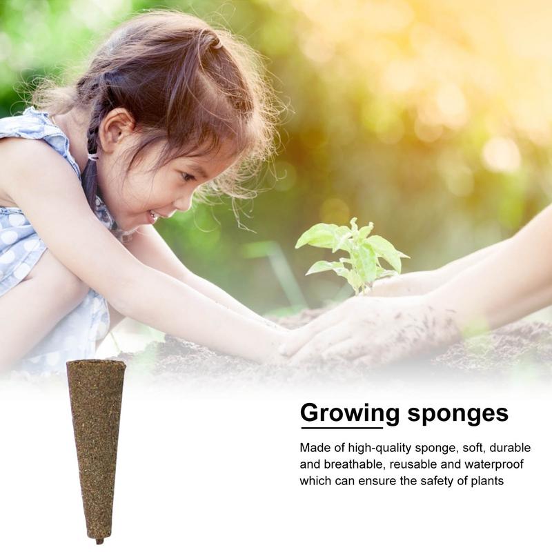 Seed Grow Sponges