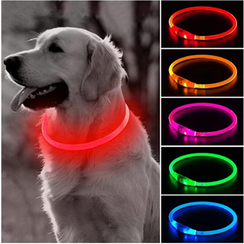 Led Light Dog Glowing Collar