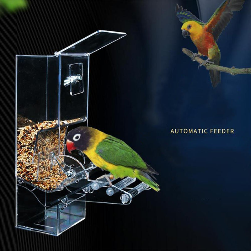 Automatic Bird Feeder Acrylic Parrot Seed Food Container Bird Cage A