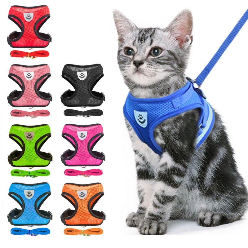 Cat Anti-Escape Collar - HORTICU