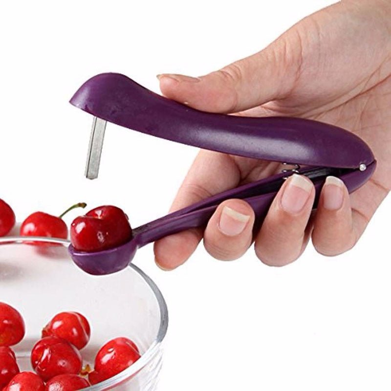 Cherry Fruit Pitter Remover - HORTICU