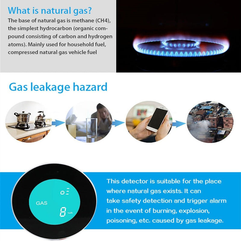 Combustible Gas Leak Detector - HORTICU