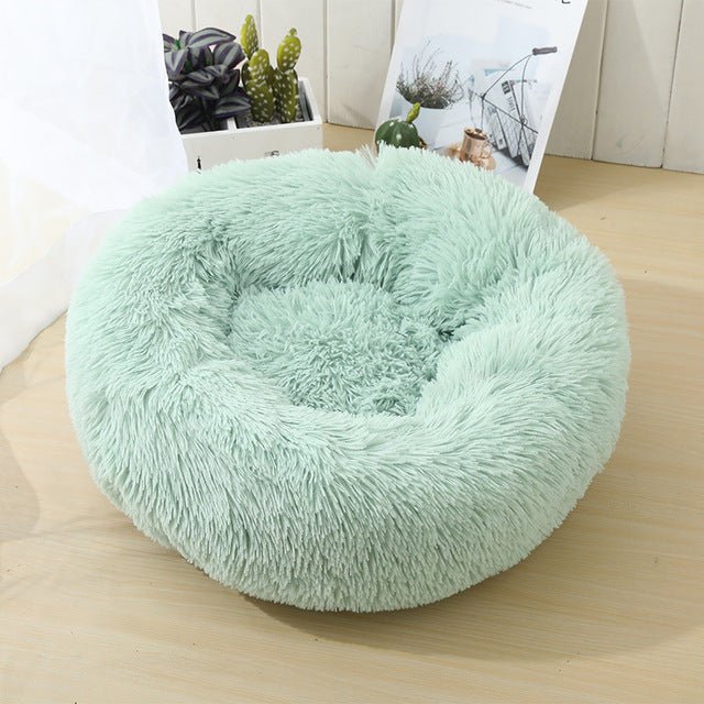 Comfy® Cushioning Beds - HORTICU