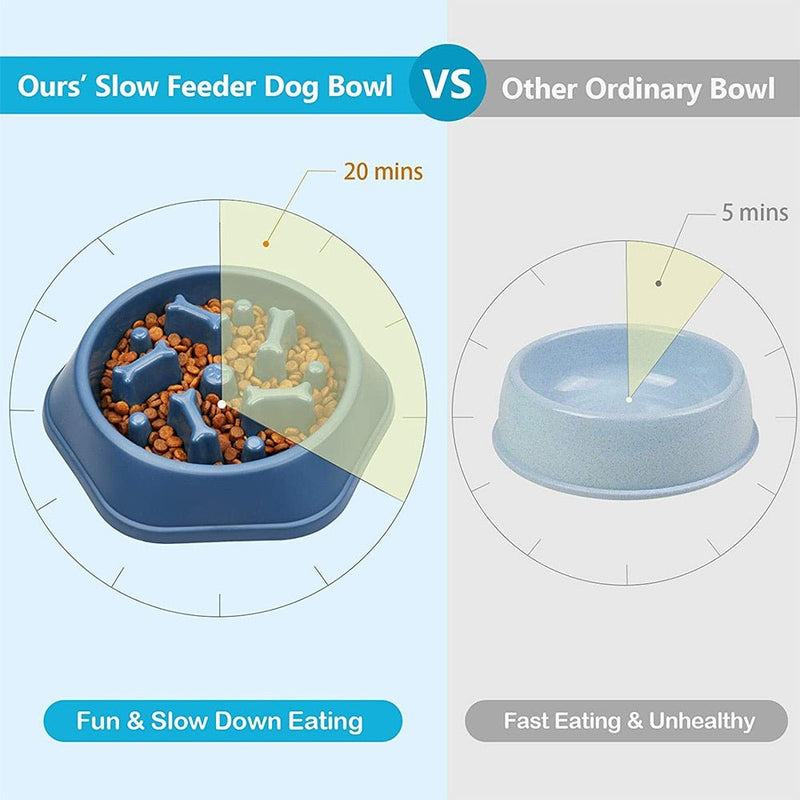 Dog Anti-Gulping Slow Feeding Bowl - HORTICU