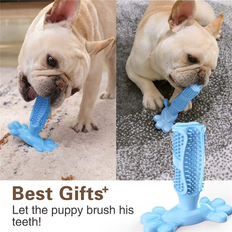 Dog Cactus Interactive Rubber Chew Toys - HORTICU