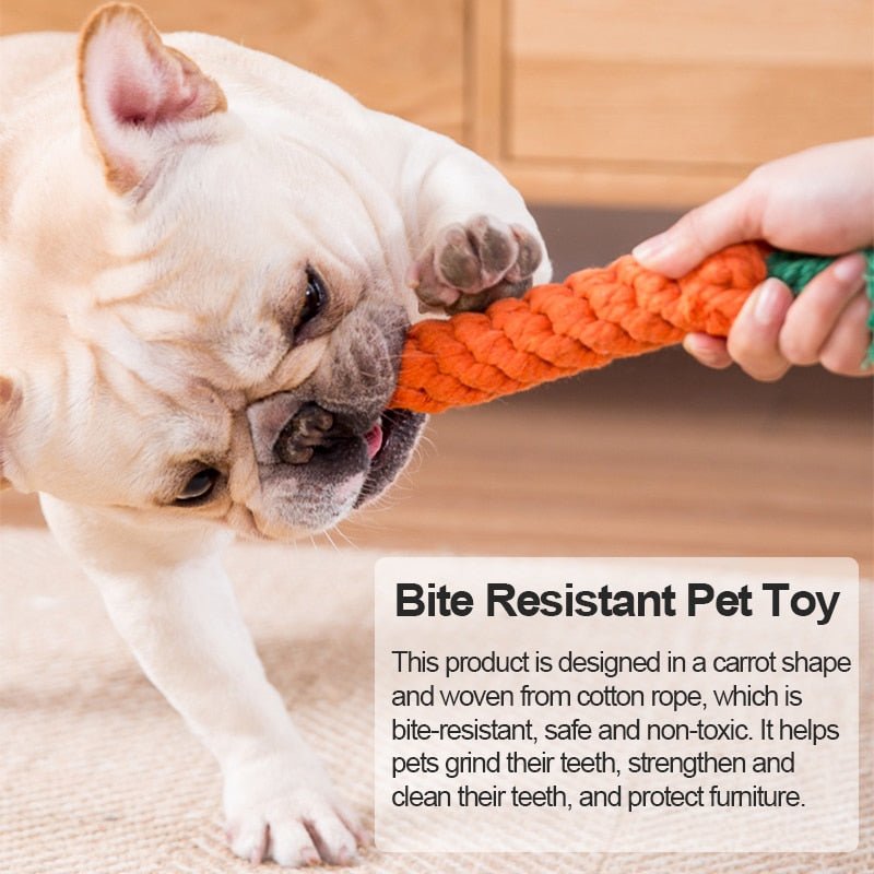 Dog Carrot Bite Resistant Toys - HORTICU