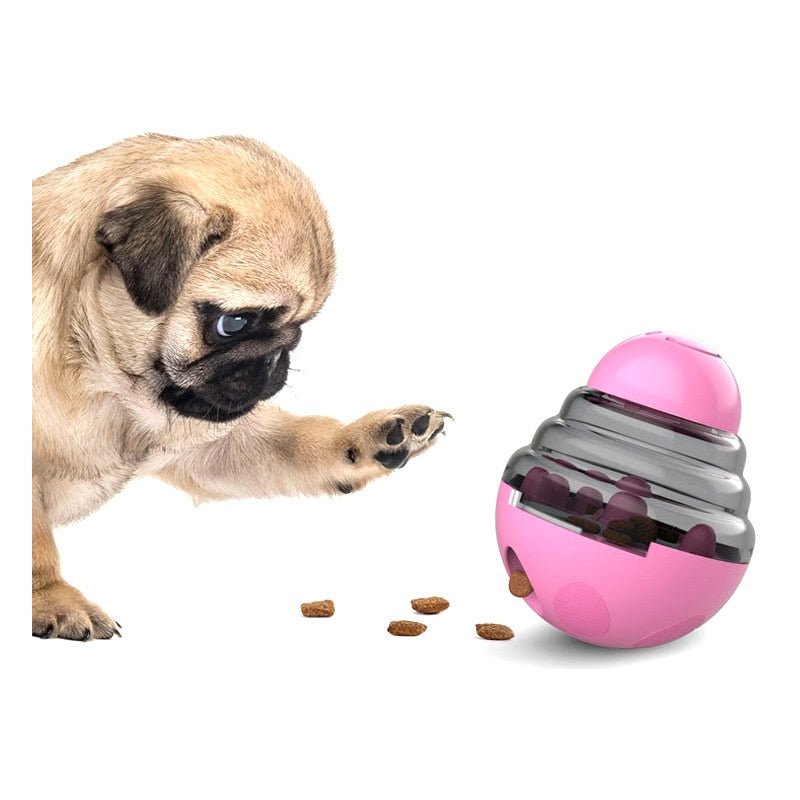 Dog IQ Treat Ball Toy - HORTICU